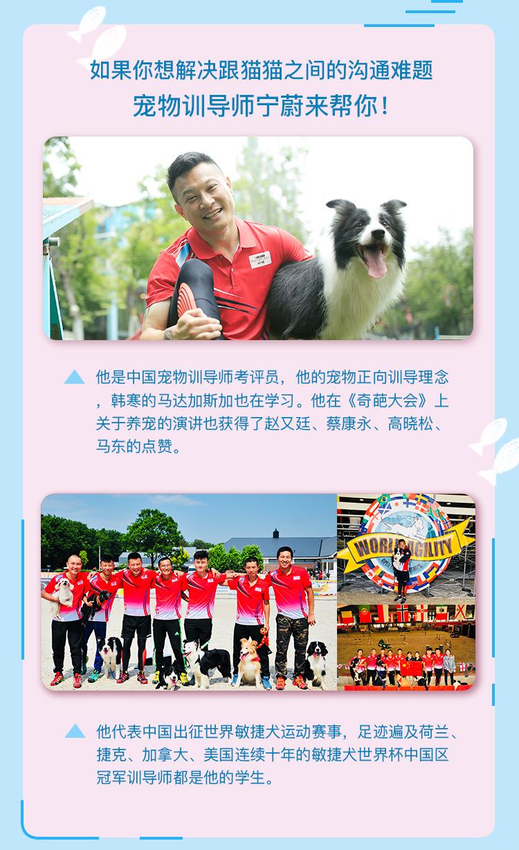 宠物读心术 解决你的养猫烦恼