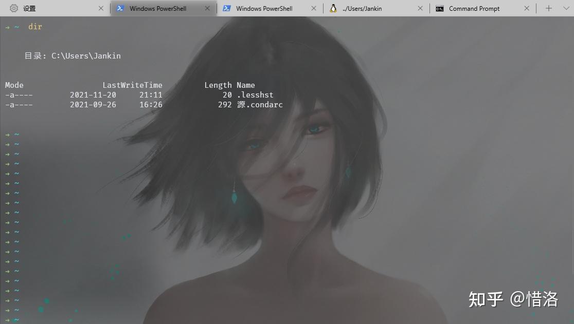 酷炫cmd命令行工具——windows terminal的详细配置 - 知乎