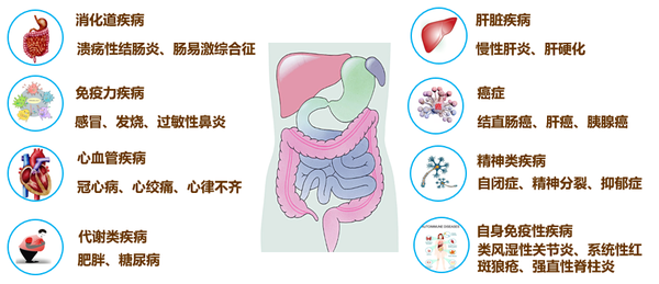 文献解读丨肠道微生物如何影响神经系统疾病 知乎