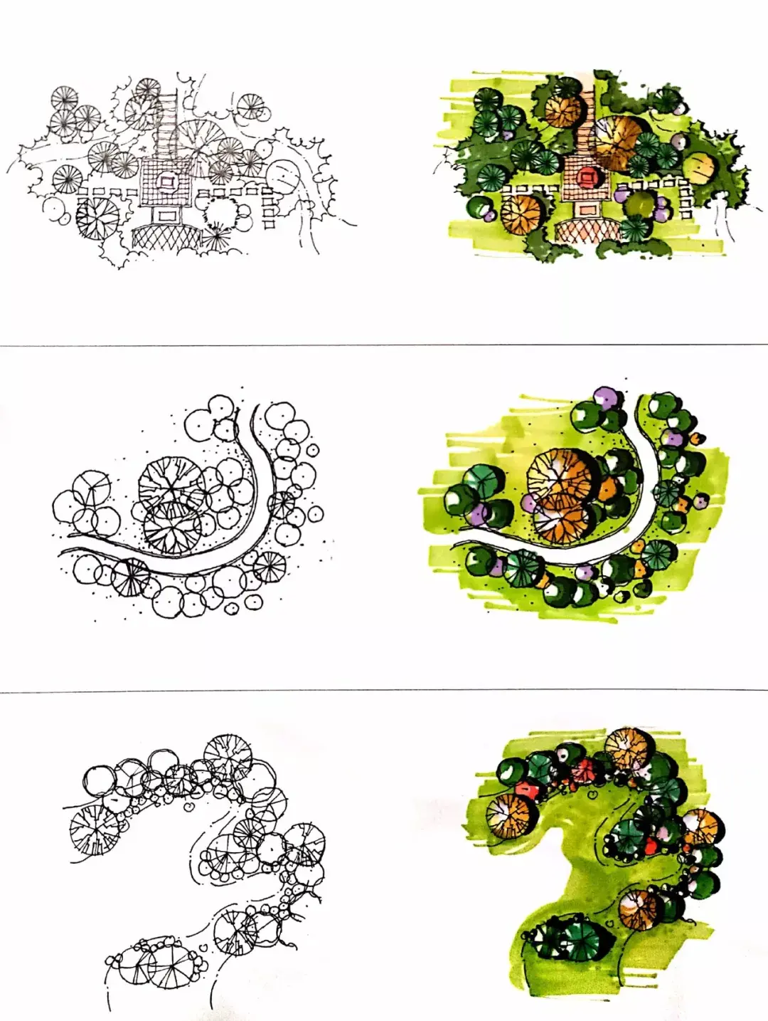 干货分享植物的平面图画法