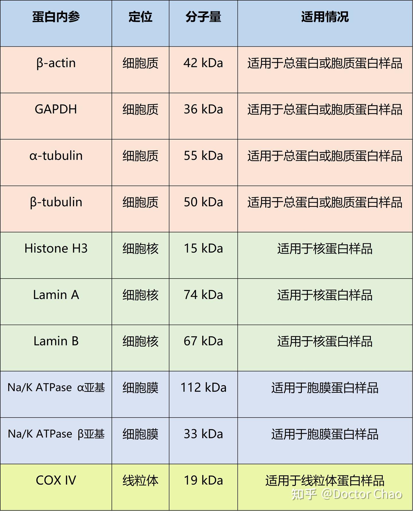 “玄学”实验-Western blot的内参你选对了吗? - 知乎