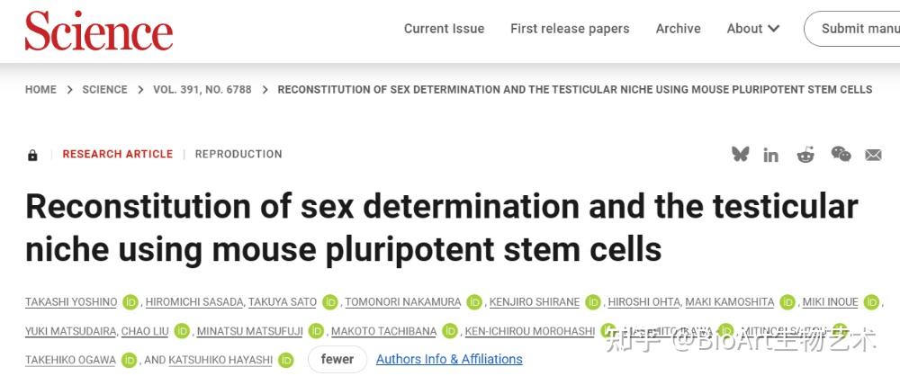 Science 利用小鼠多能干细胞重构性别决定与睾丸微环境 知乎 