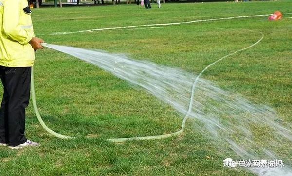 冬季草坪如何养护开春后才返青快?