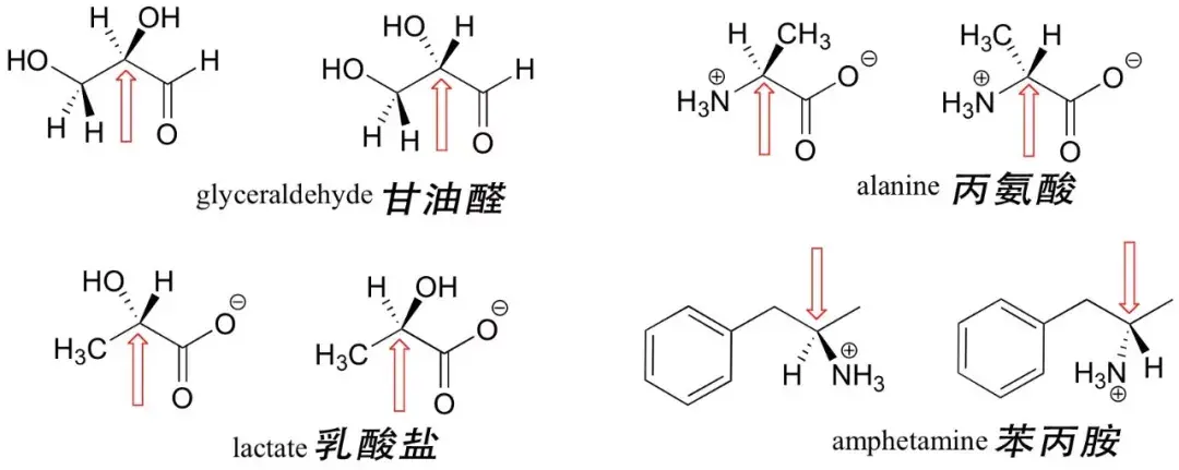 从反应停事件的背后元凶谈到宇宙生命的答案