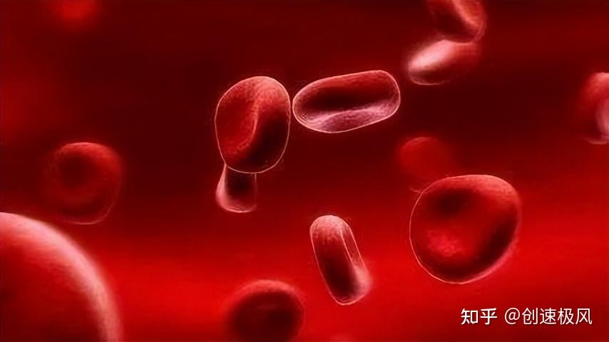 揭秘熊猫血珍贵程度: 究竟有多罕见? - 知乎