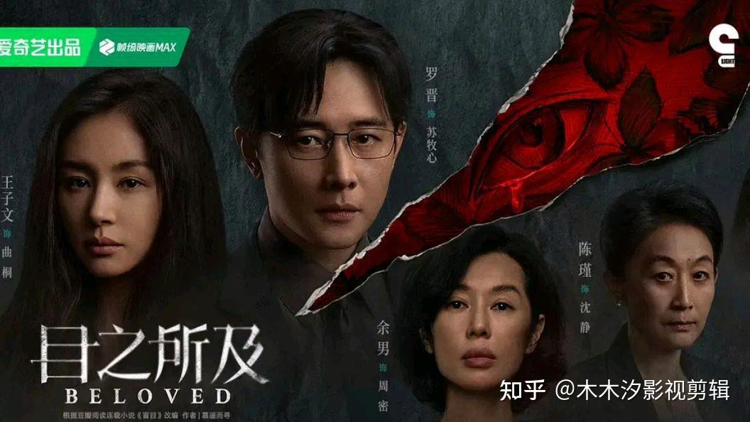 豆瓣2025热播剧排名,《目之所及》第5《子夜归》第2,第1名霸榜 - 知乎
