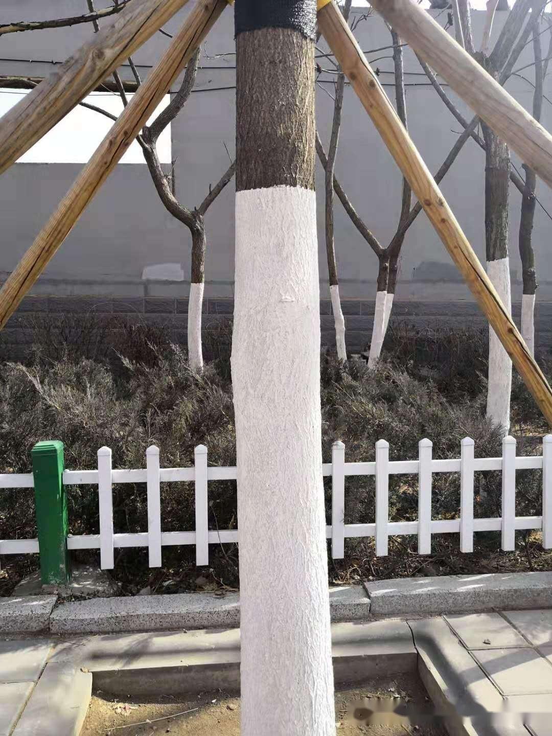 树木涂白季节到,如何选择一款适合自己的涂白剂? - 知乎