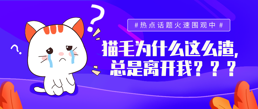 解密猫毛的 渣毛 行为 知乎
