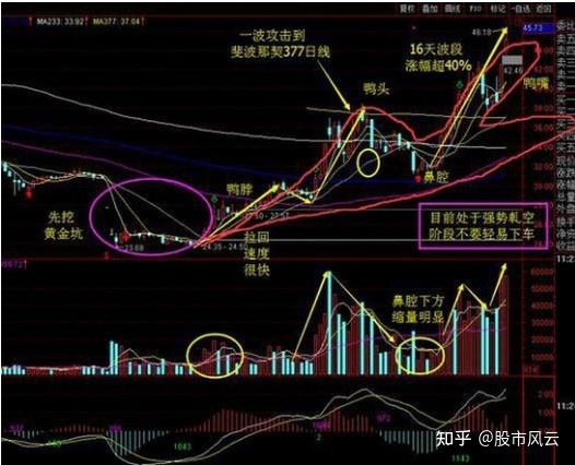 千金难买老鸭头——"鸭颈买,鸭头减仓,老鸭头"k线牛股战法,千金难买