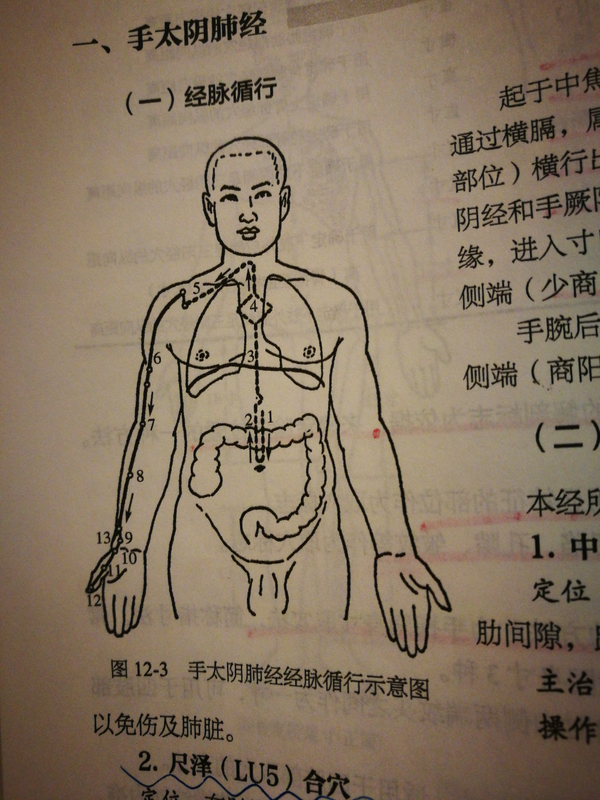 科學家發現新器官間質網絡(可能是中醫三焦),算不算打臉中醫黑?