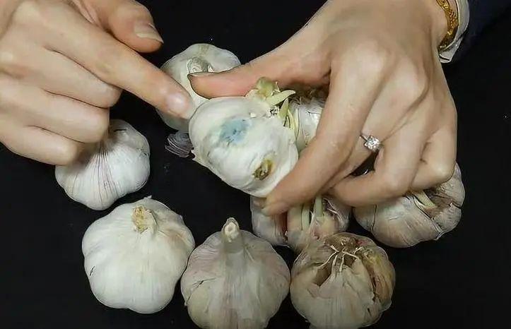 garlic benefits for health