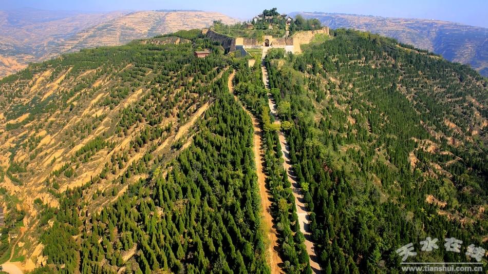 6500年前的星空图——濮阳西水坡蚌塑龙虎图"中华第一龙" - 知乎