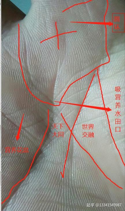 真正的"弓乙灵符"于2020年1月17日,出世了.