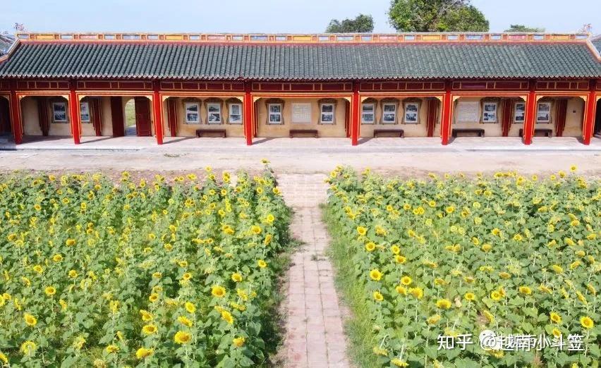 为顺化皇宫打造新亮点,顺化古迹保护中心在位于泰和宫和建中宫之间的