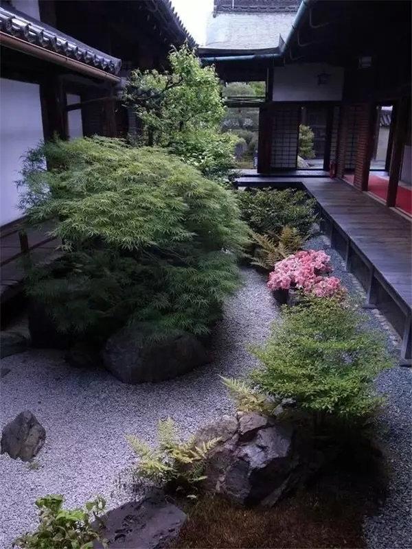 30个日式庭院设计案例,禅意之美! - 知乎