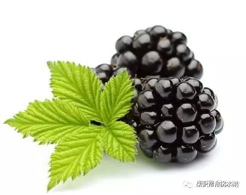 v2-b0e4ebe75b74cc847189f471f6b4ecab_r.jpg