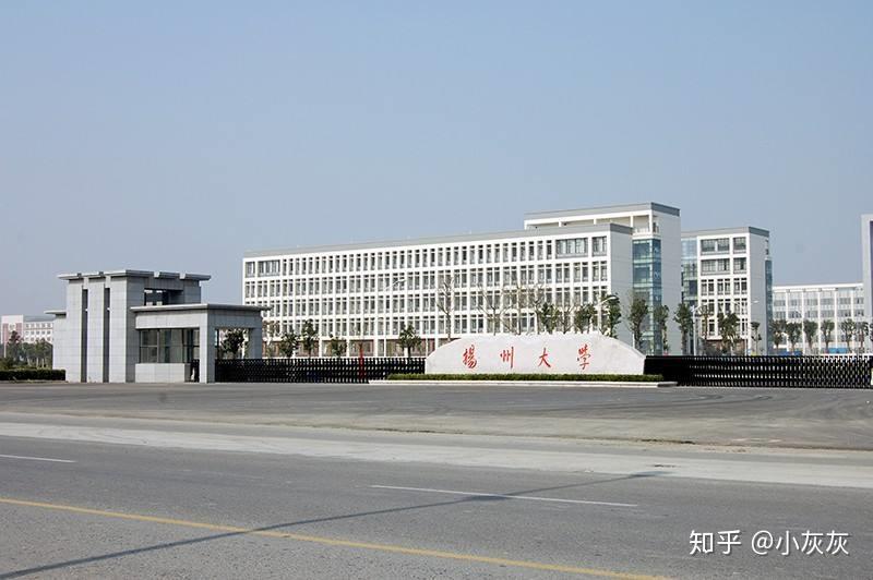 22届扬大小教第七章知识点梳理