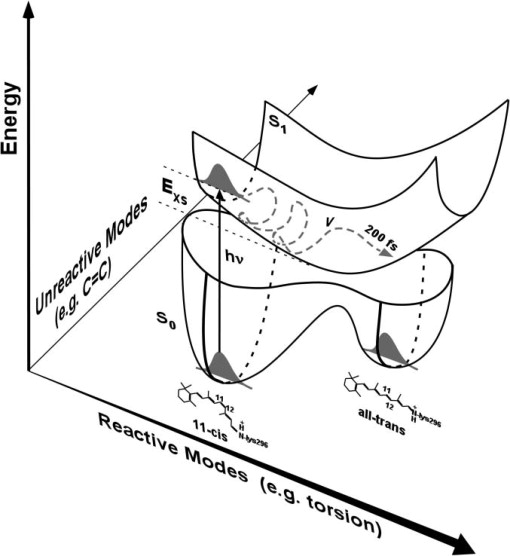 16.1 光物理過程——雅布倫斯基能級圖(jablonski diagram)