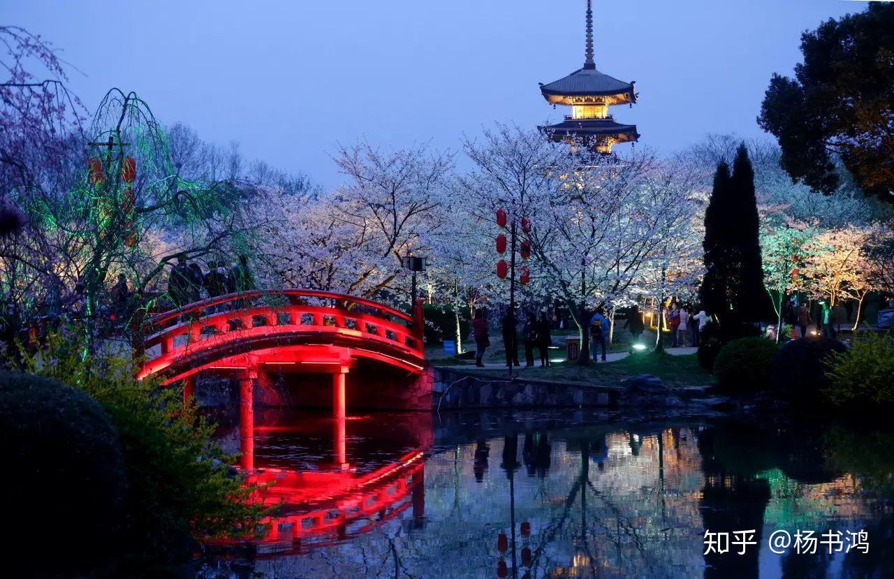 图文小编《杨浦、成毅》为你发布!东湖樱园夜景 - 知乎