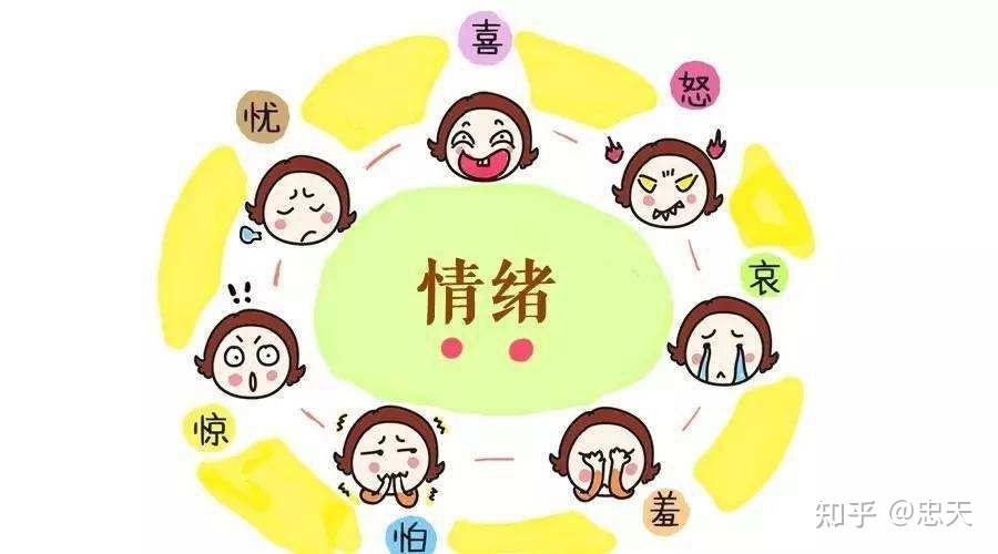 身体是"情绪的地图",陪你在世界走一遭 - 知乎