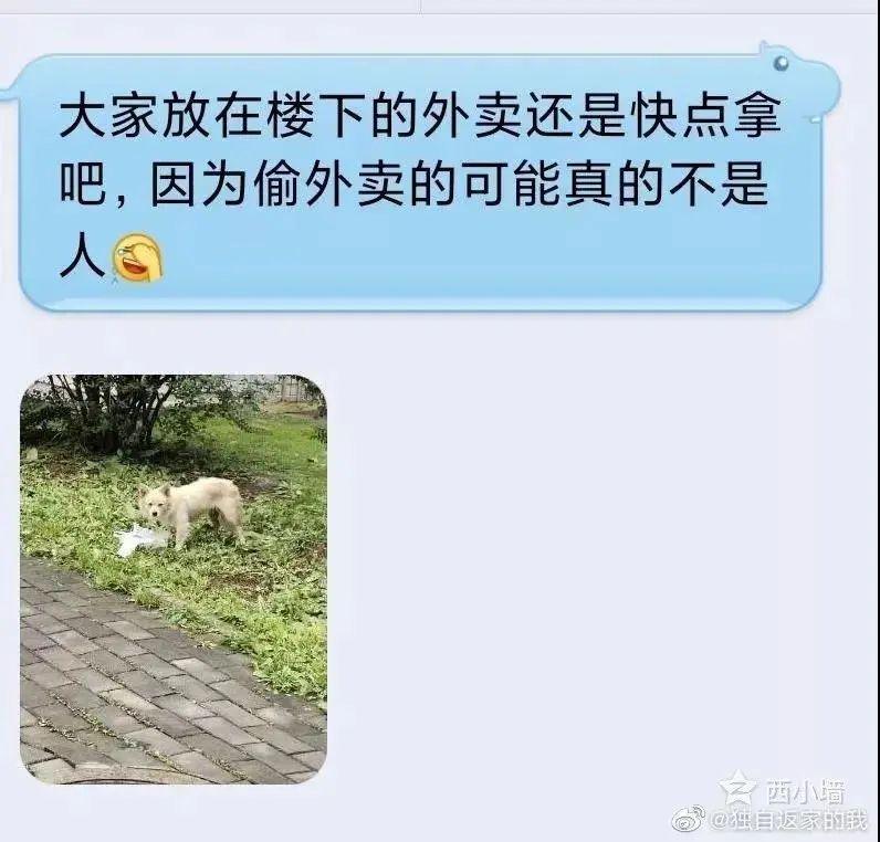 光天化日偷女生内衣的狗贼居然这么专业路子还挺野