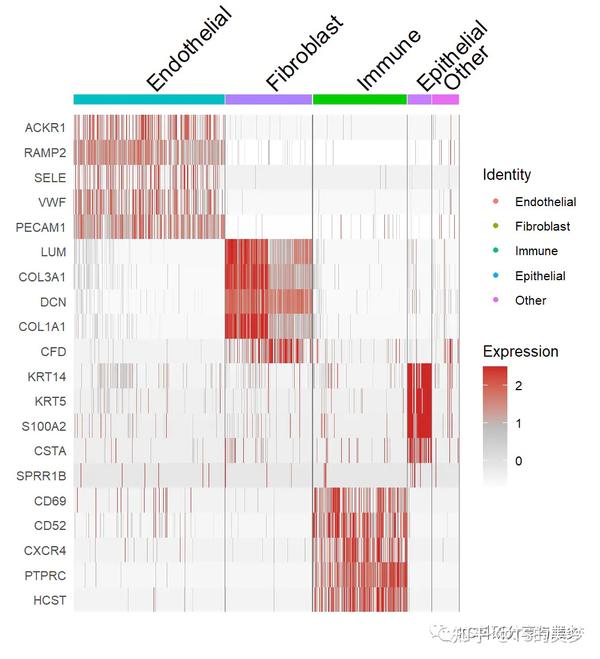 单细胞基因可视化之热图改造修饰1 - 知乎