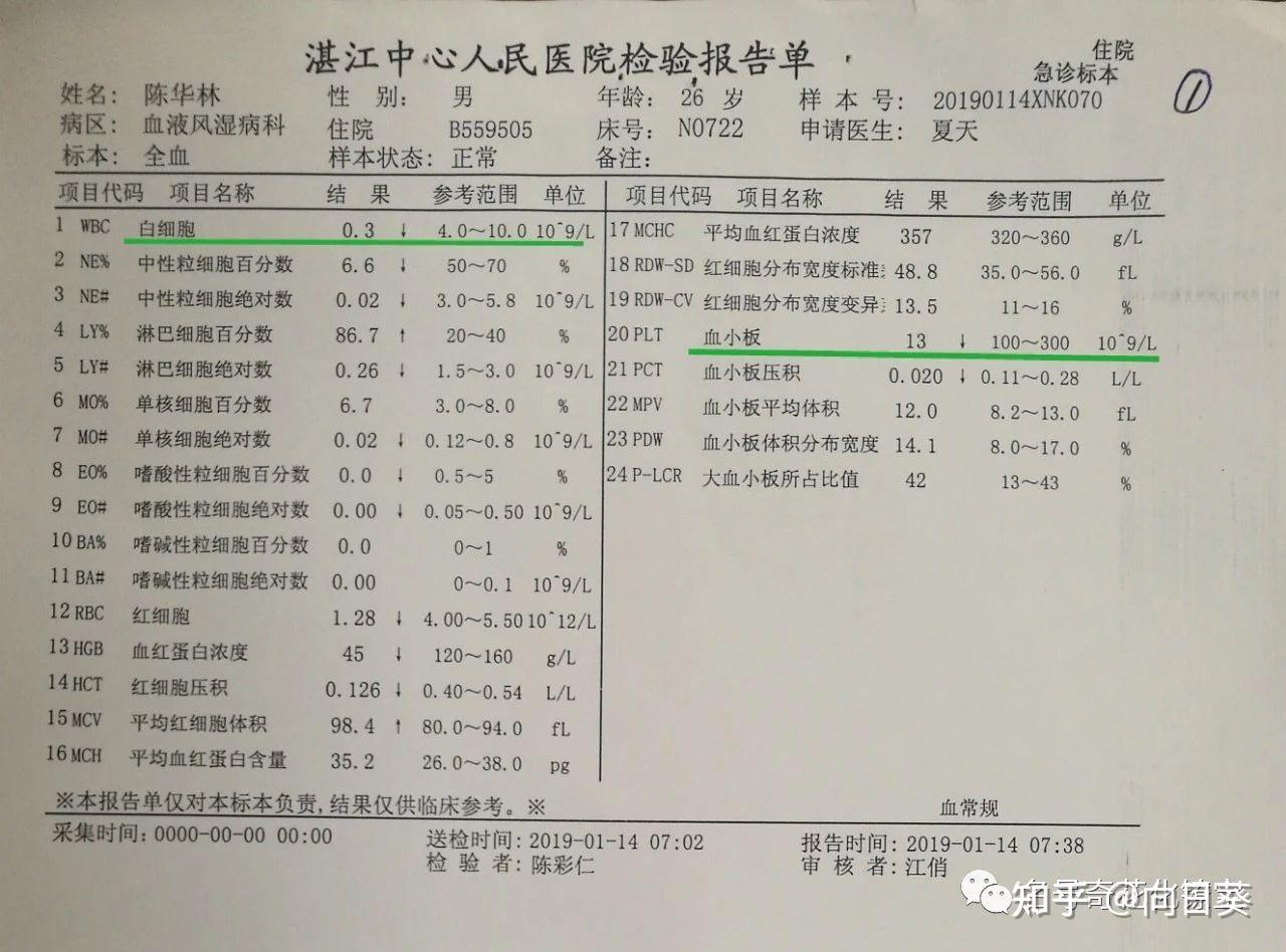 儿童白血病化验单图片