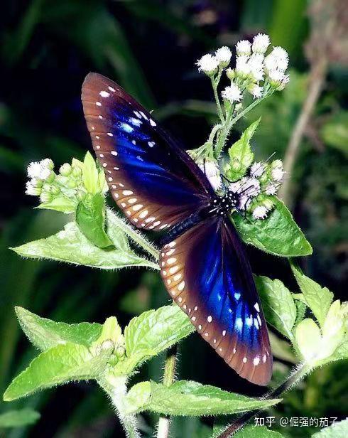 刘云多方位多角度地阐述着,解释着议论文,说议论里