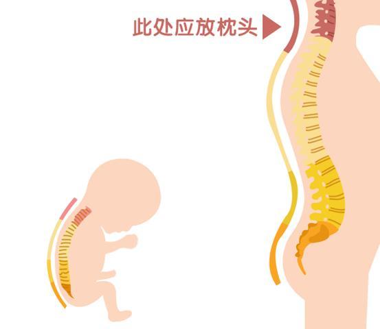 宝宝多大可以用枕头 不同年龄枕多高 睡错枕头影响宝宝体态气质 知乎