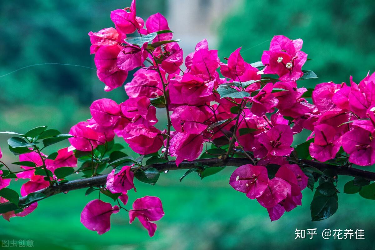 v2-b144d67f4d02bf047f02c173573eea2f_r.jpg
