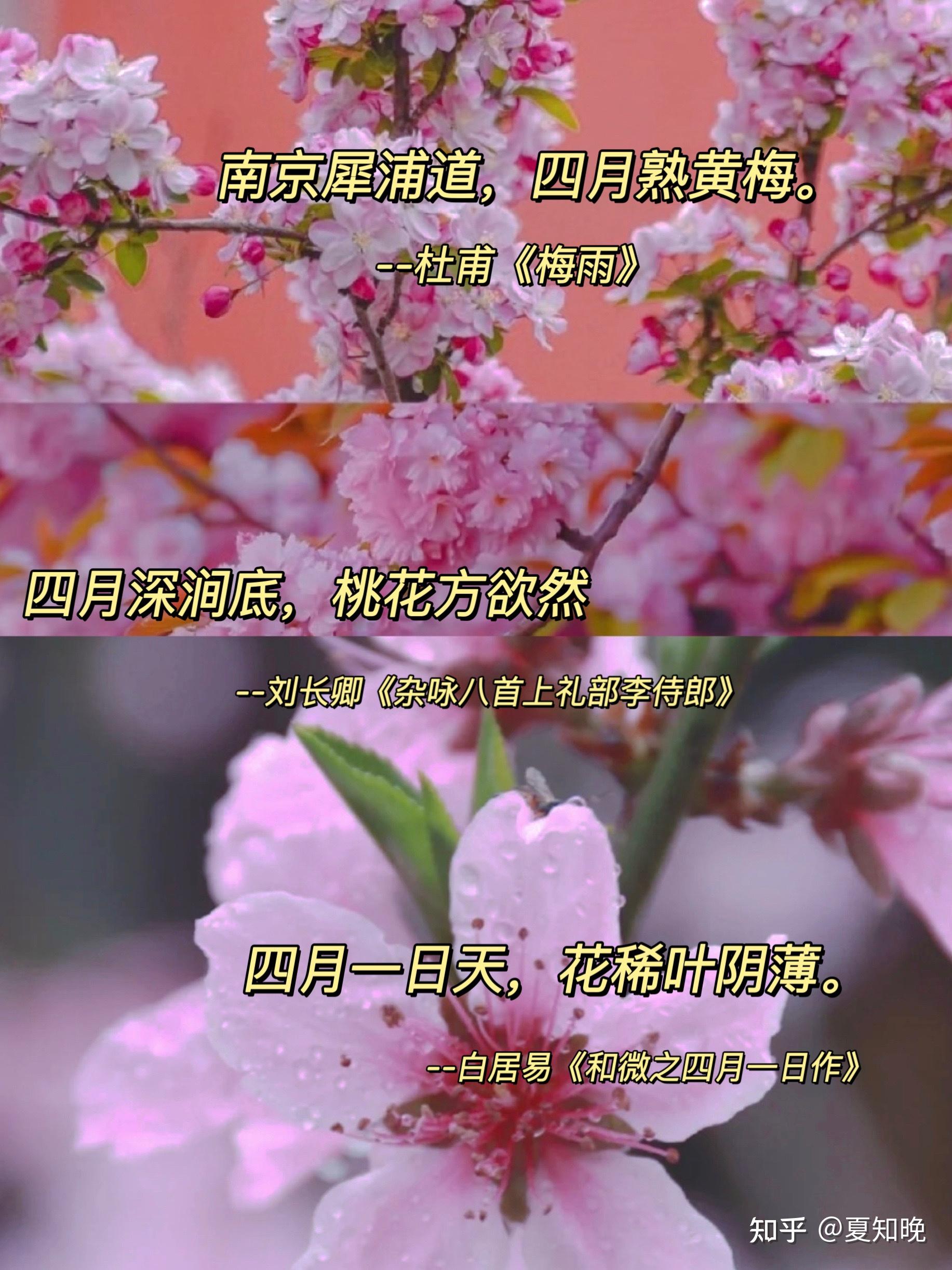 古诗词中的人间四月天,太美了!