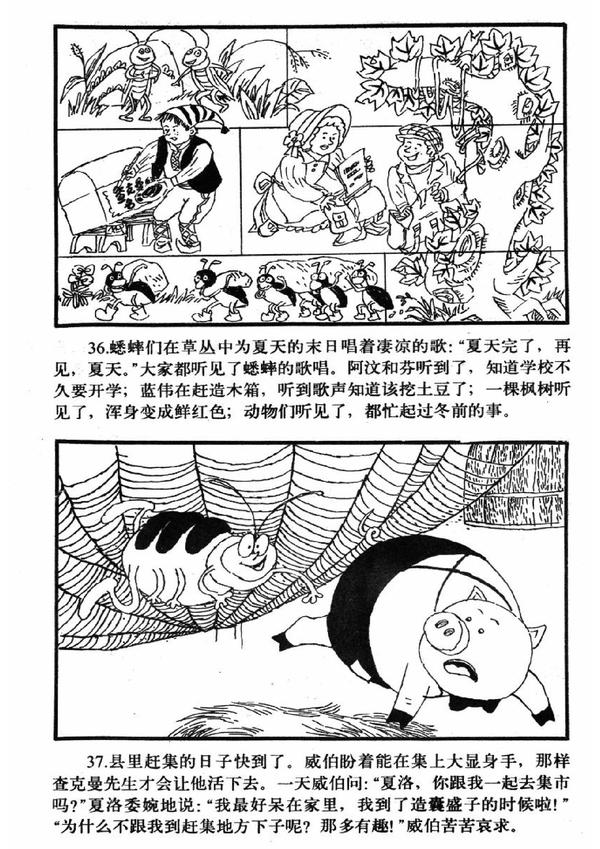 夏洛的网故事梗概 知乎