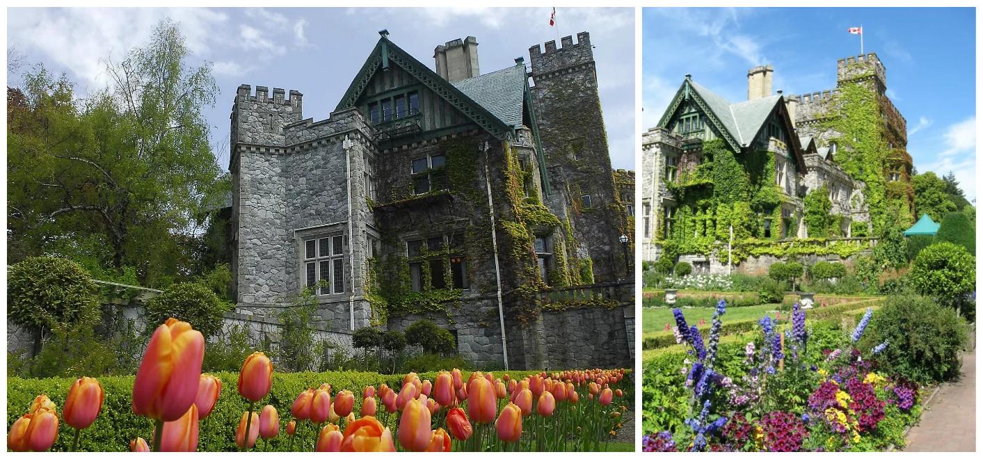 offer你好 | 全球最美校园加拿大皇家大学传媒专业来了 - 知乎