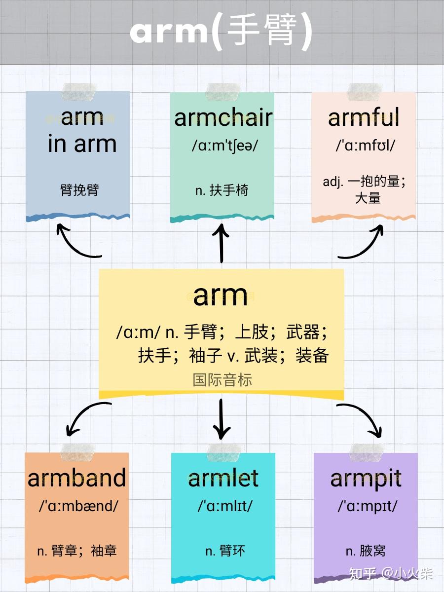 5张图片记单词 arm(手臂) - 知乎
