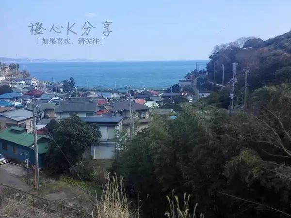 K酱日本行丨河津樱花就在2月 东京近郊赏早樱好去处 知乎