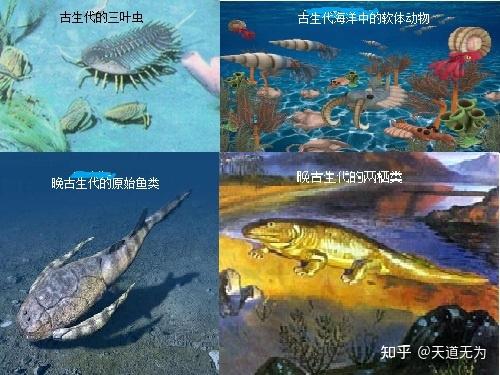 宇宙诞生与人类历史起源 - 知乎