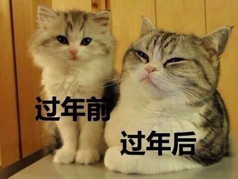 难受微信恶搞群聊杂图表情包金馆长表情包