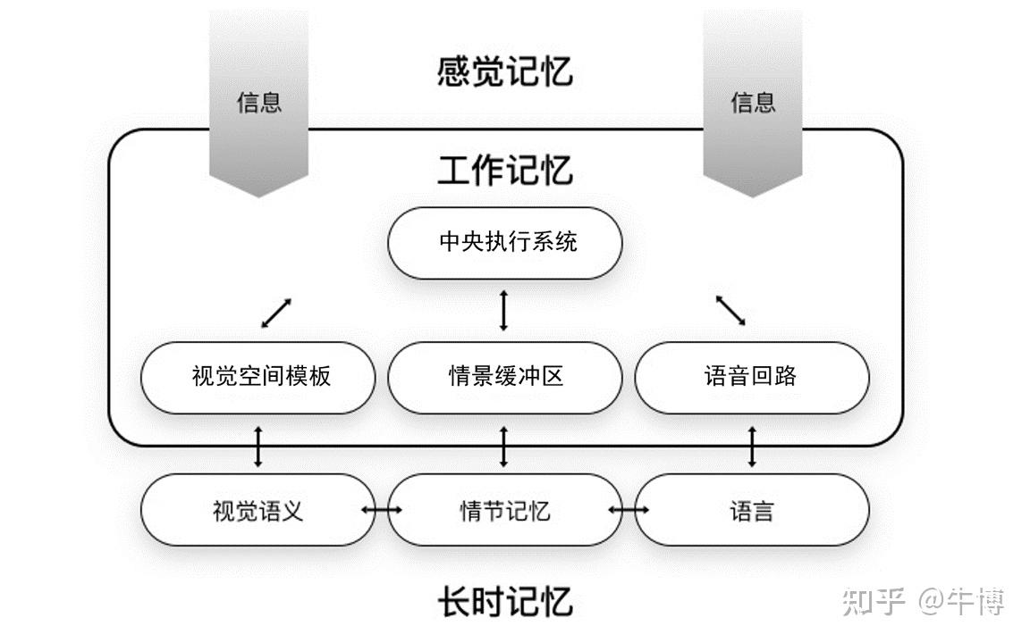 大脑与心智观察 