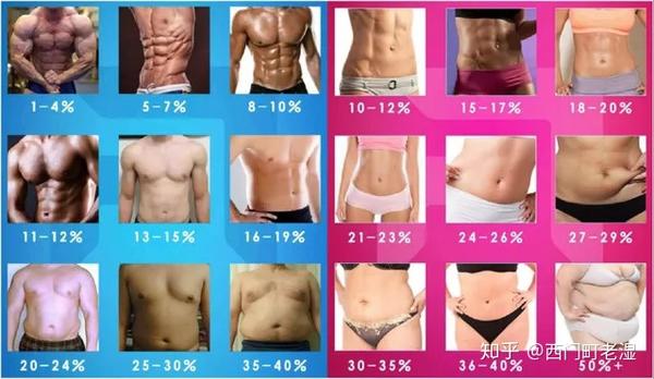 26 女性 体 脂肪 率 男女生最新的体脂率对照表，看看你是否属于肥胖