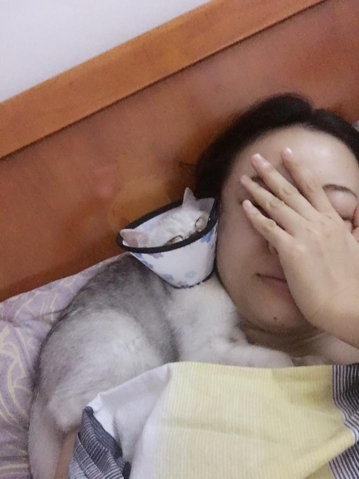 怎么睡觉脸不会大 v2-b19dc210d6d75864b73baaaef2b4b5b3_r.jpg