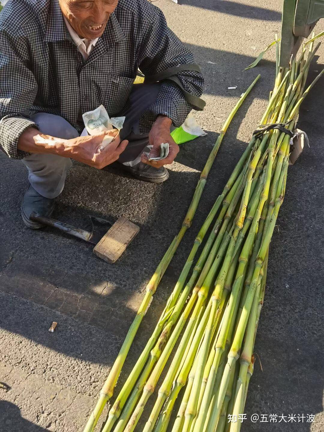 甜杆小时候的最爱