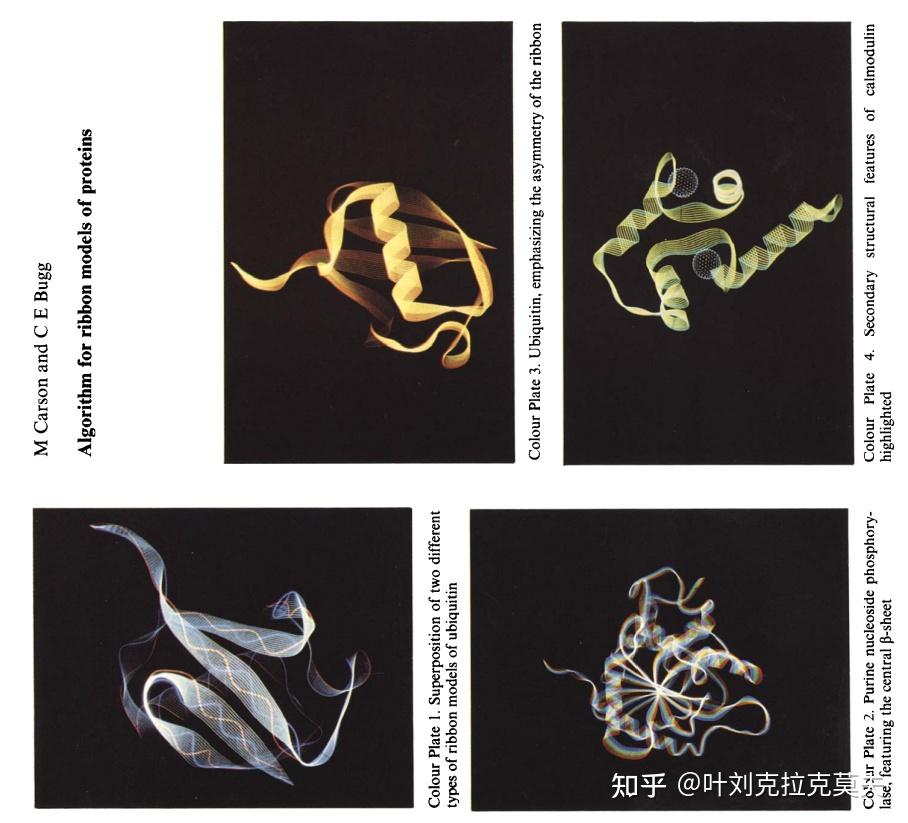 分子图形学简史25 – 蛋白质等大分子使用的丝带模型的演化过程 - 知乎