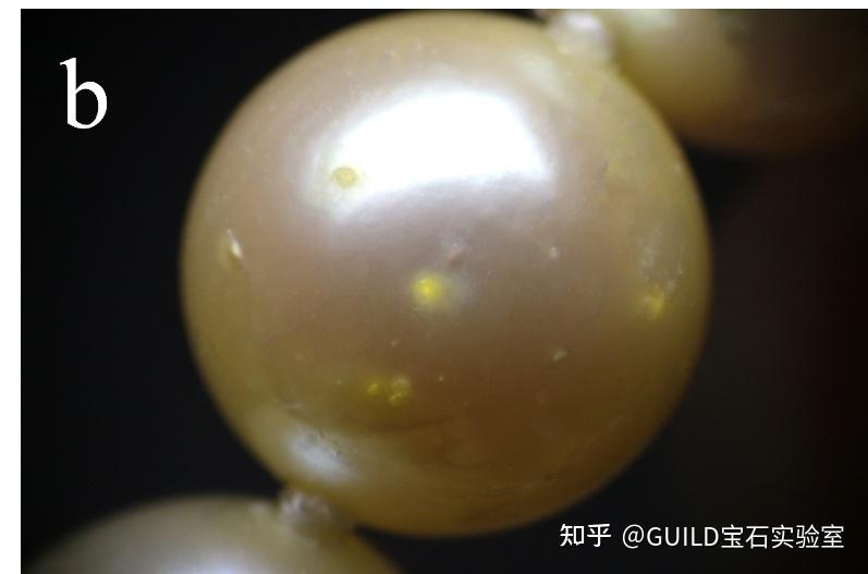 天然黄色与染色Akoya珍珠的鉴别特征 - 知乎