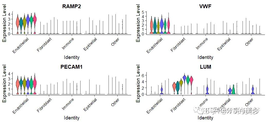 单细胞基因可视化之小提琴图 - 知乎