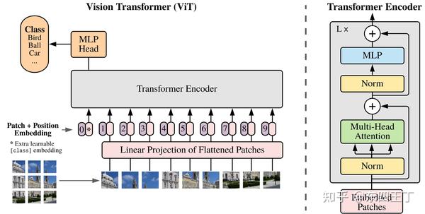 numpy实现vision transformer图像输入的patch - 知乎