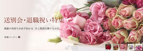 展会信息 日本最大的花卉植物展ifex 16年ifex花卉大赏 知乎