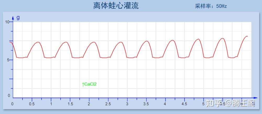 机能学实验系列离体蛙心灌流