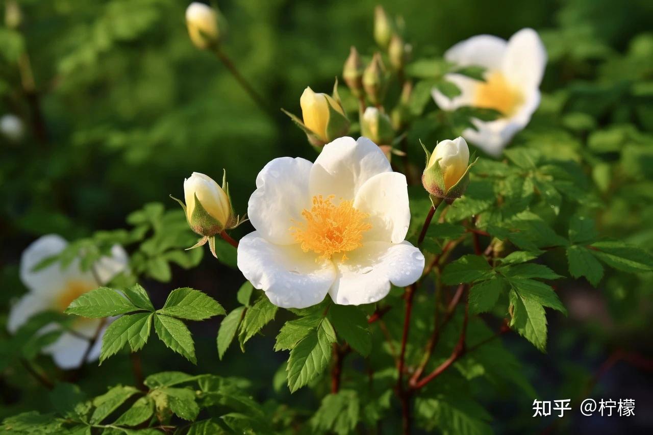 人民日报每日金句摘抄，句句精辟，句句入心，句句智慧，醍醐灌顶！ - 知乎