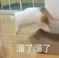 【表情包】溜了溜了 - 知乎