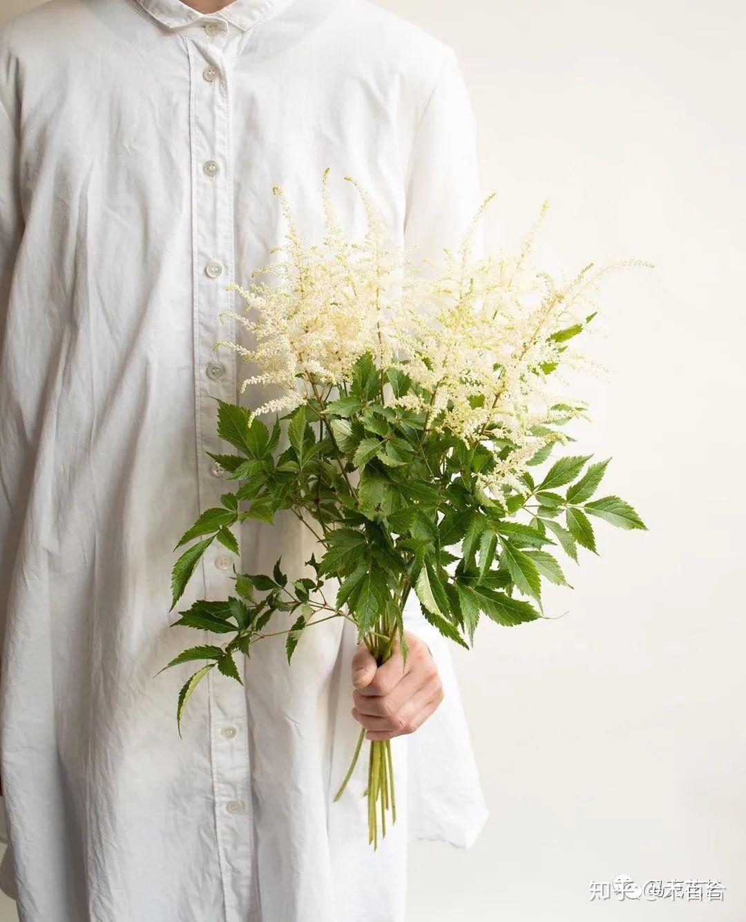 花材种类千千万快来给它们安个家3散点花材及特殊花材篇